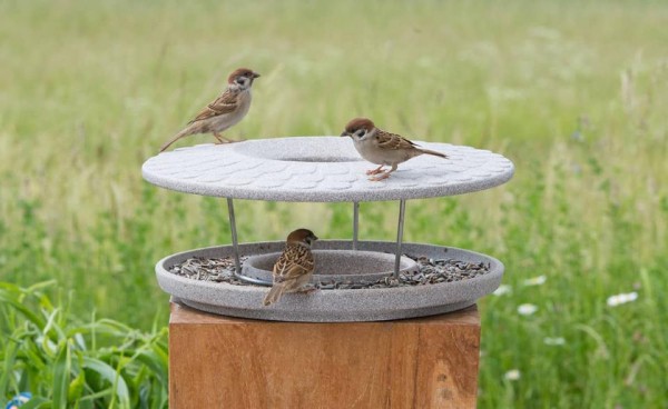 Denk Futterhaus Granicium® - Vögel füttern und beobachten