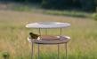 Denk Futterhaus CeraNatur® -Vögel füttern und beobachten mit Ständer