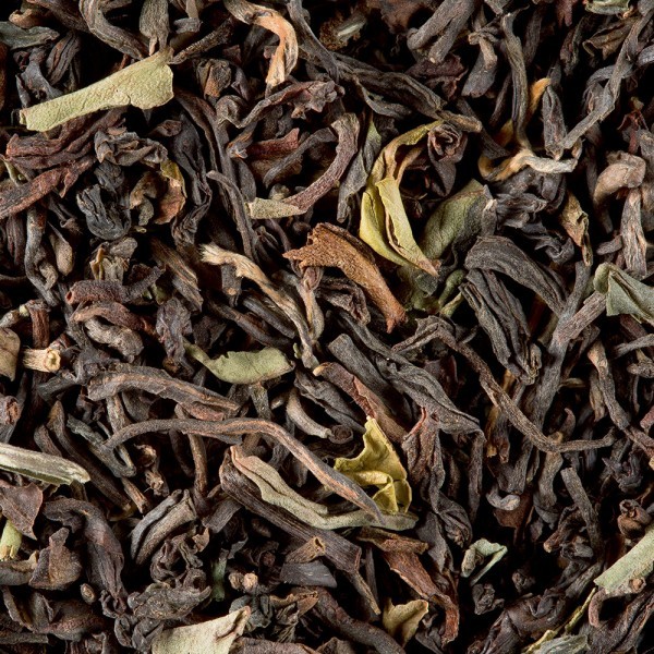 Darjeeling Jungpana