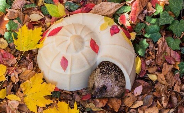 Igel-Schnecke Ganzjahres-Quartier für die Igel Familie, CeraNatur®